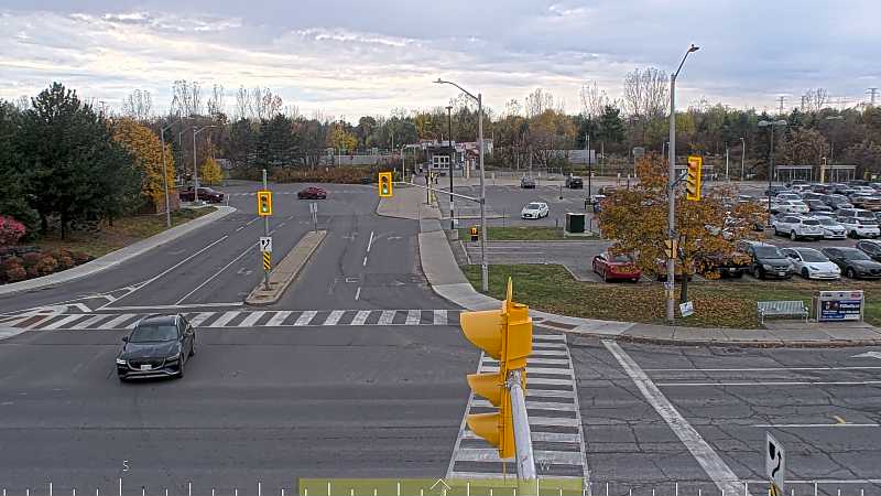 Live camera: Bank and Johnston